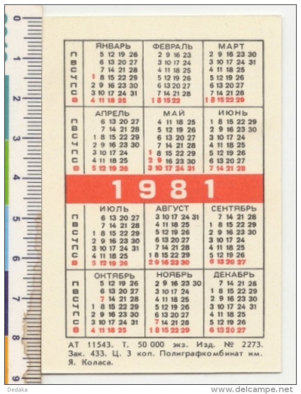 Pocket Calendar USSR - Byelorussia -  1981 - Fire - Iron - Fire Safety - Advertising - Petit Format : 1981-90