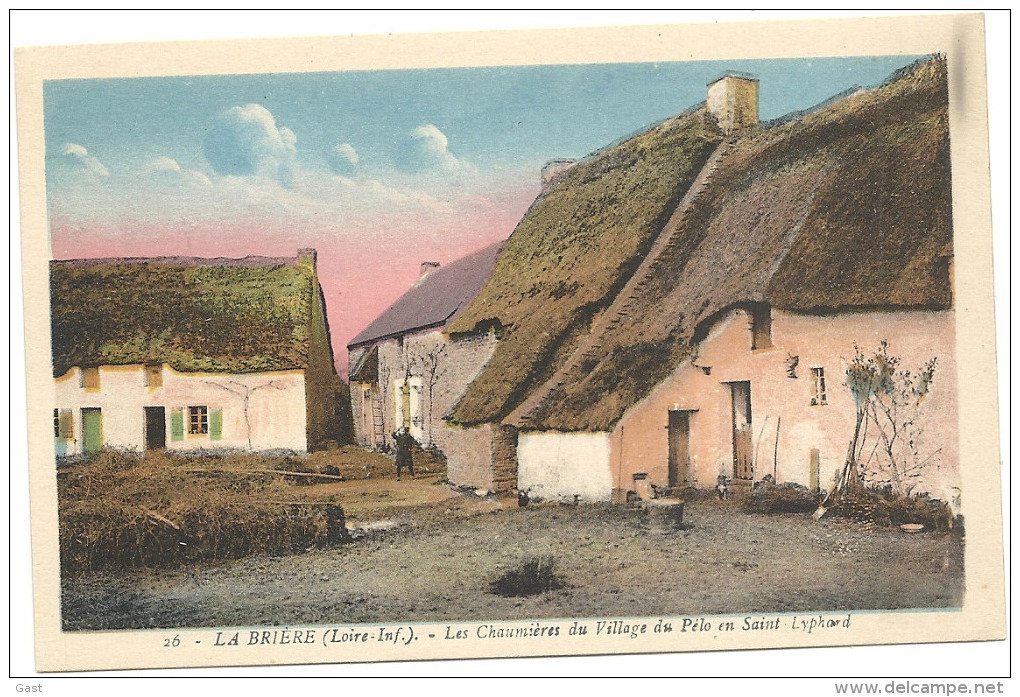 44  SAINT LYPHARD   LES  CHAUMIERES  DU  VILLAGE  DU    PELO - Saint-Lyphard