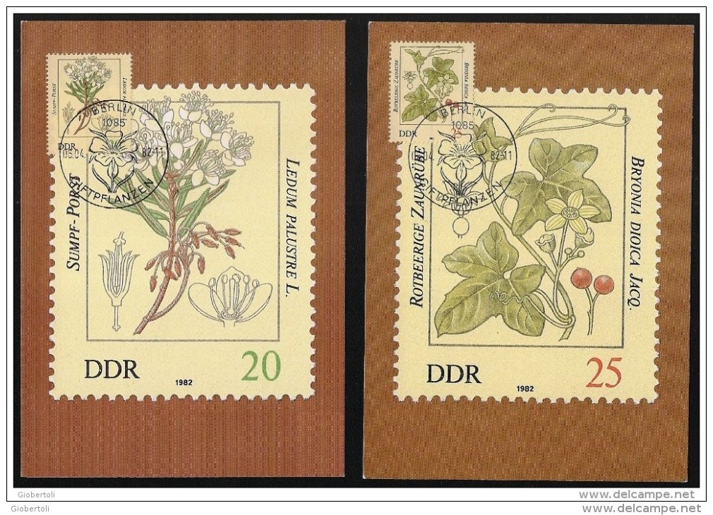 DDR: Maximum Card, Piante Velenose, Poisonous Plants, Plantes Vénéneuses, 3 Scan - Vegetazione