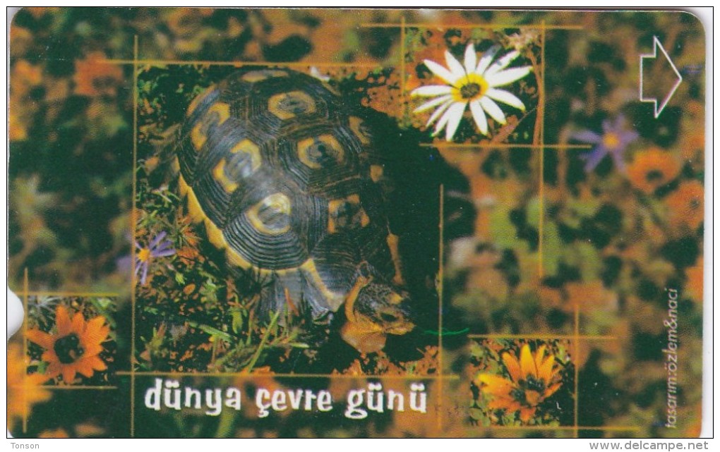 Turkey, N-239, World Environment Day 2002, Tortoise, 2 Scans. - Turquie