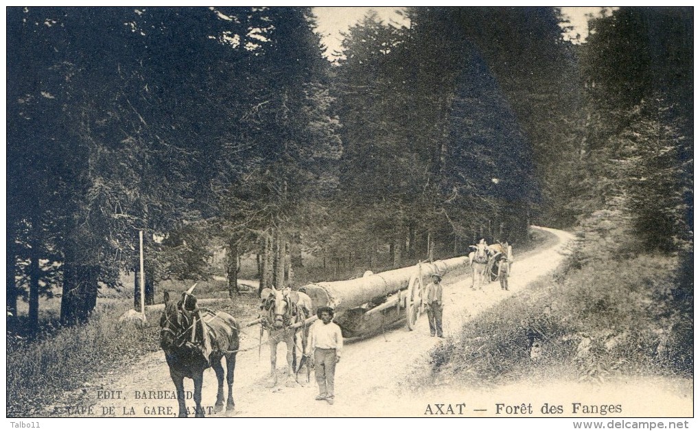 AXAT - Foret Des Fanges - Attelage - Transport De Bille De Bois - Axat