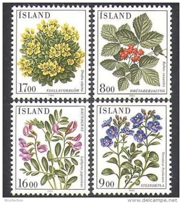 Iceland 1985 Flowers Flower Flora Nature Plants Plant Fruits Berry Fruit Stamps MNH SC 602-605 Michel 628-631 - Ongebruikt