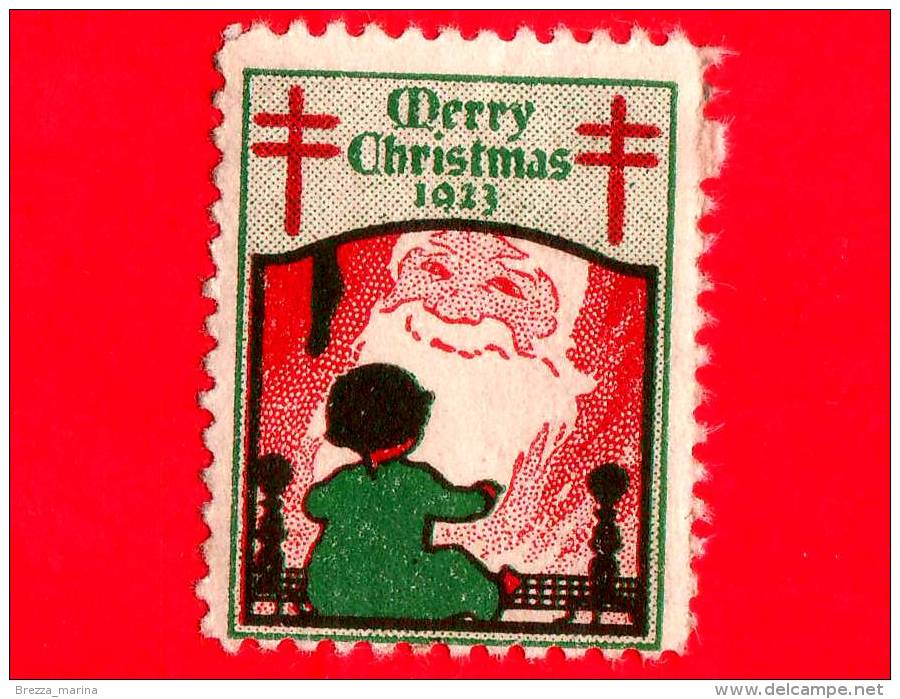 USA - STATI UNITI - Usato - 1923 - Natale - Christmas  - Vignetta - Other & Unclassified