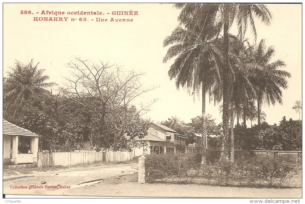 AFRIQUE GUINEE CONAKRY KONAKRY - UNE AVENUE Vers 1925 - Guinea Francese