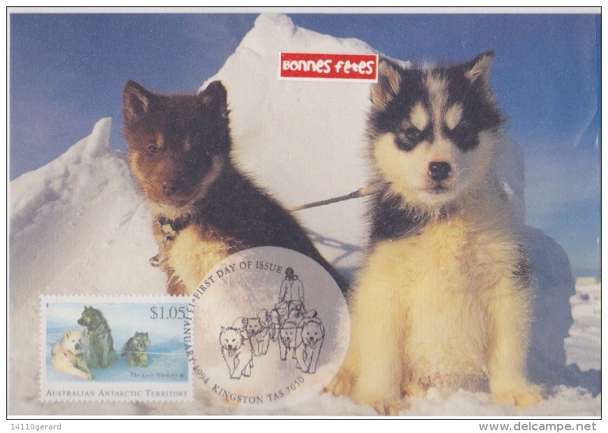 AAT-australian  13 -1-1994  KINGSTON Husky Pups - Maximum Cards