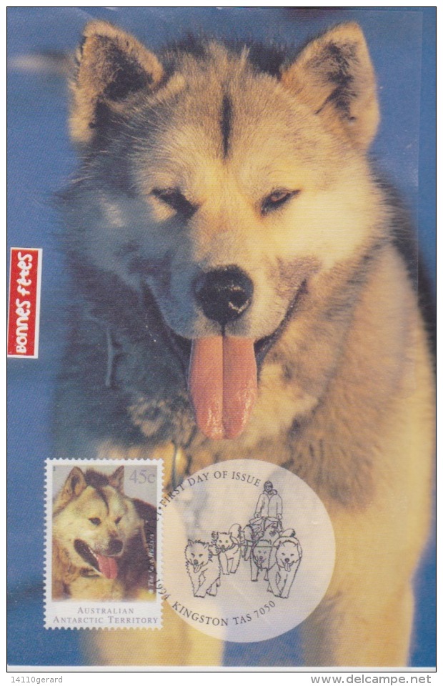 AAT-australian  13 -1-1994  KINGSTON Husky Australian - Maximum Cards