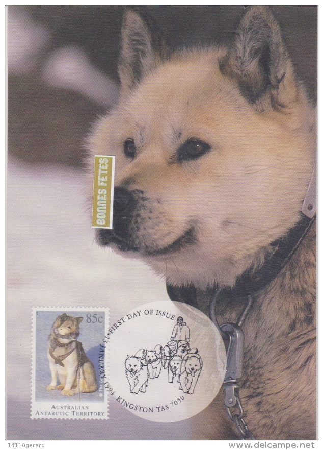 AAT-australian  13 -1-1994  KINGSTON Husky Australian - Maximumkarten