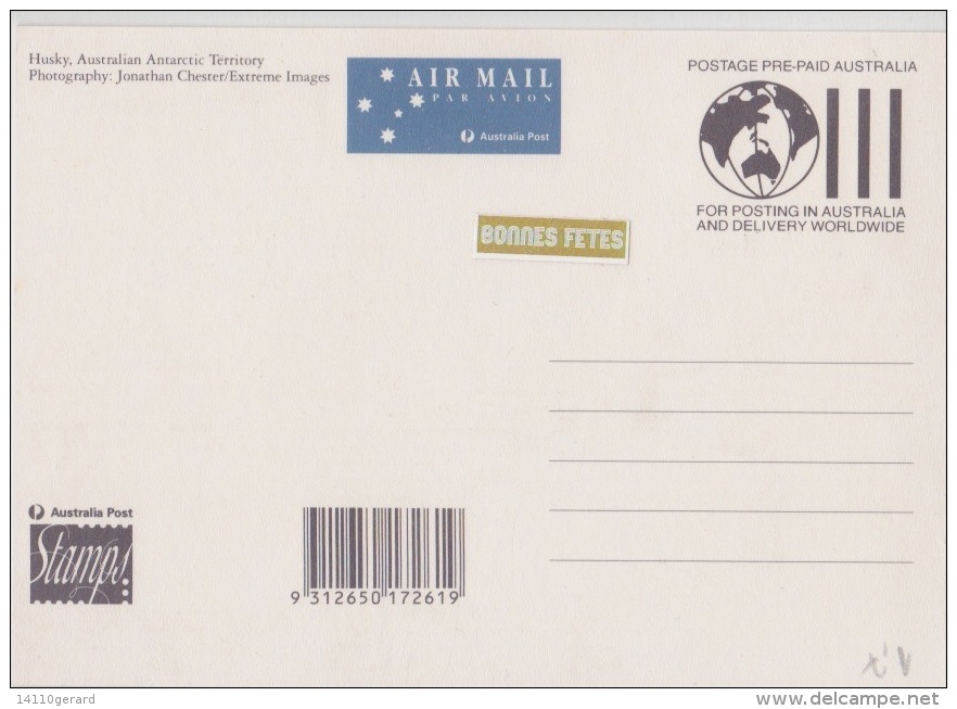 AAT-australian  13 -1-1994  KINGSTON Husky Australian - Cartes-maximum