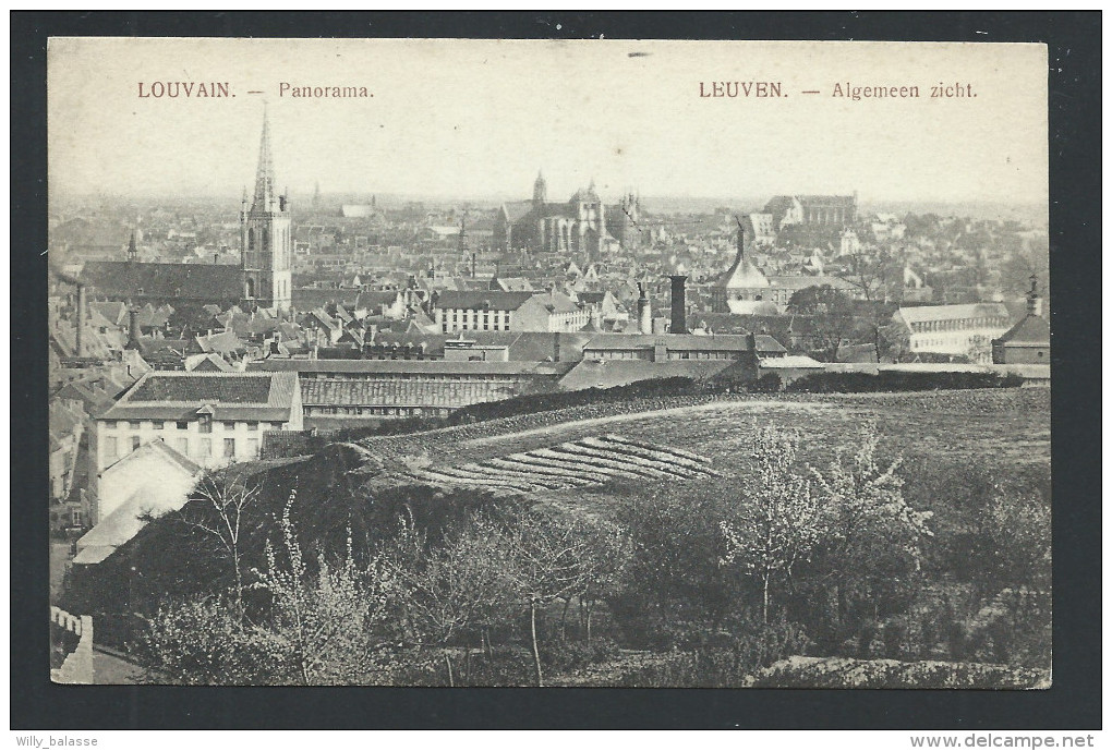 CPA - LOUVAIN - LEUVEN - Panorama - Algemeen Zicht  // - Leuven