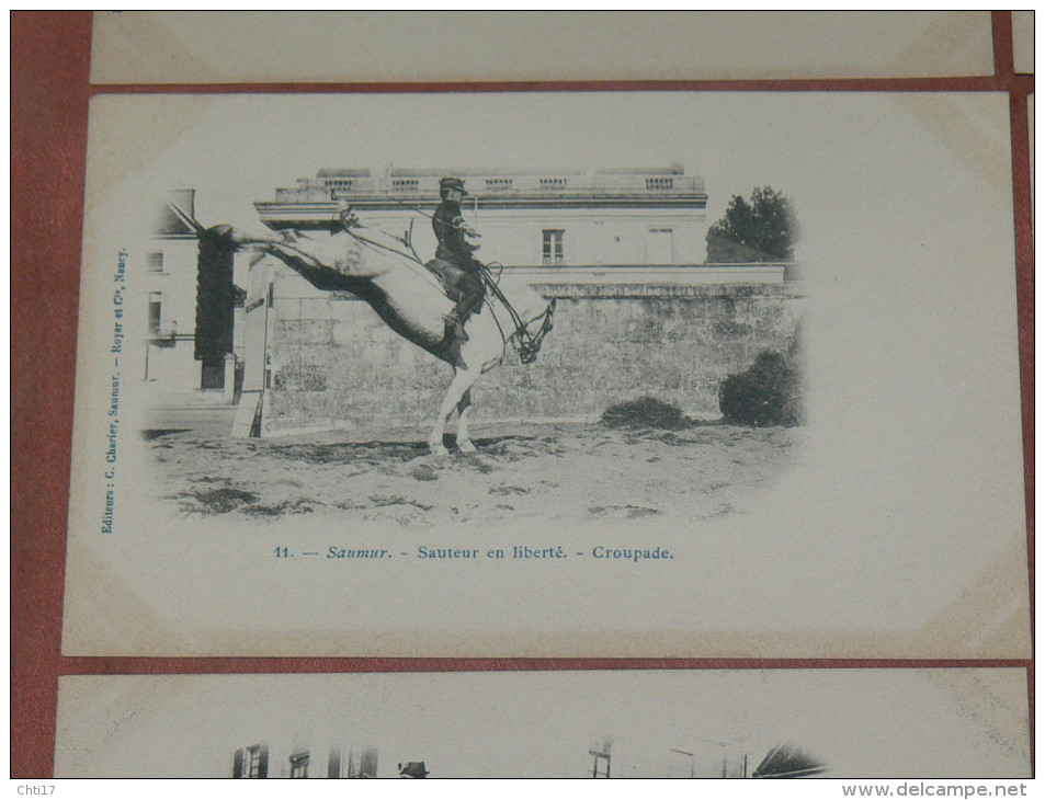 SAUMUR 1900  LOT 8 CPA N°9 A 16 / HARAS DRESSAGE EQUESTRE / SAUTEUR / CROUPADE / EQUITATION  EDITEUR  C CHARIER A SAUMUR - Saumur