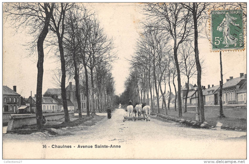 80- CHAULMES- AVENUE STE ANNE - Chaulnes
