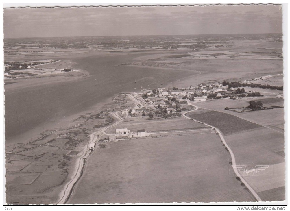 Penerf. Vue Générale. - Questembert