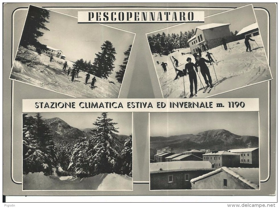 IS002 -PESCOPENNATARO STAZIONE CLIMATICA ESTIVA E INVERNALE - ISERNIA -  VIAGGIATA 1956 - Isernia