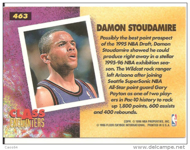 CARD NBA FLEER '95-'96  STOUDAMIRE  N 463 - Sonstige & Ohne Zuordnung