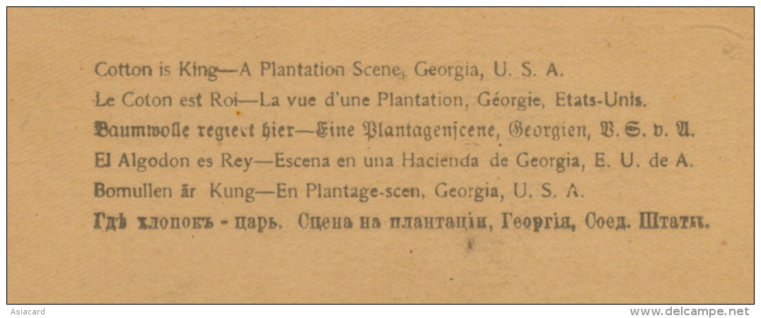 Real Stereo Cotton Is King Plantation Scenes Only Black People Working - Autres & Non Classés