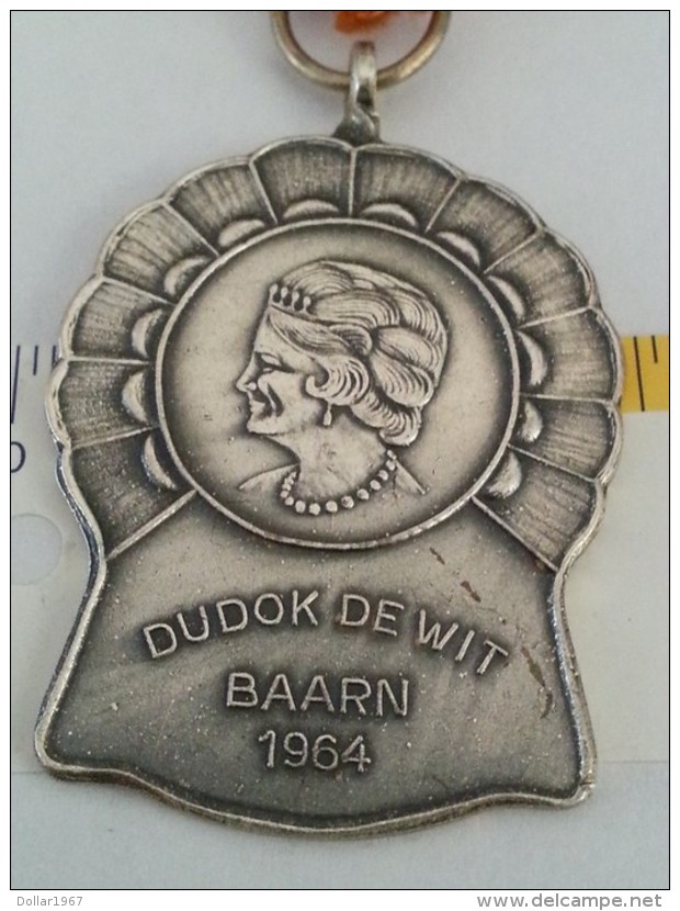 .medal - Medaille - W.S.V. Dudok De Wit 1964 Baarn - Autres & Non Classés