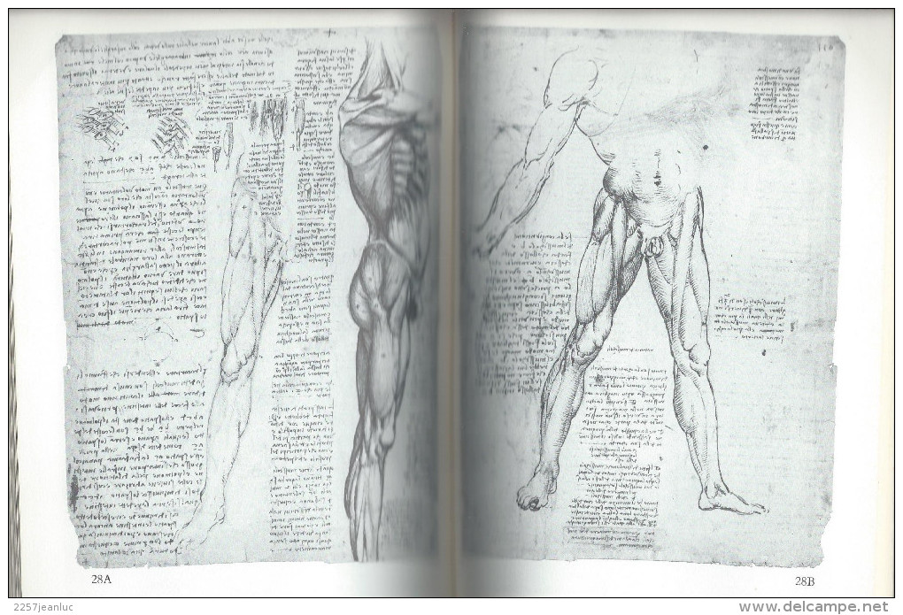 Leonardo Da Vinci -Anatomical Drawings From The Royal Collection Of ARTS - 1977  - 160 PAGES - Anthropologie