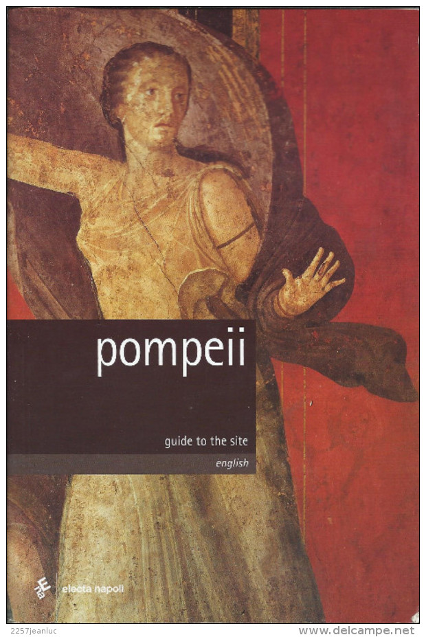 Pompeii Guide To The Site English  Electa Napoli 160 Pages Edit 2002 - Autres & Non Classés