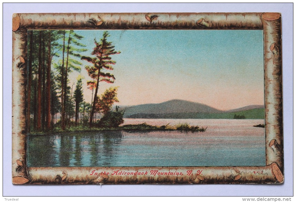 In The Adirondack Mountains, New York, N.Y., 1909, Log Border Postcard - Adirondack