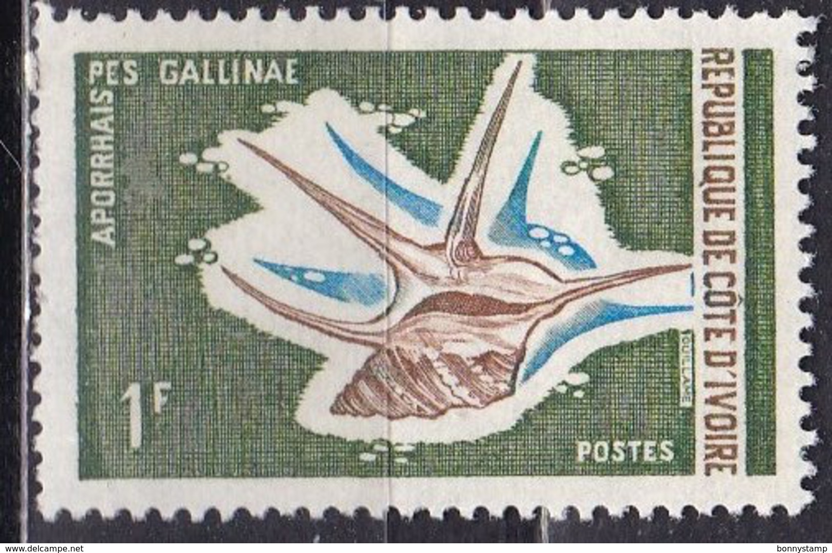 Costa D'Avorio, 1971/72 - 1f  Aporrhaispes Gallinae - Nr.301 MNH** - Conchiglie