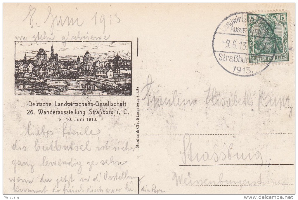 TàD Landwirtschaftliche Ausstellung Straßburg (Els) 1913 Du 9.6.13 Sur CP - Lettres & Documents