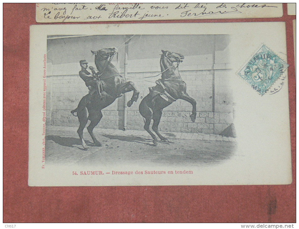 SAUMUR 1900  LOT 8 CPA N° 41  A  55  / ECUYER / CARROUSEL / EQUITATION / EDIT FR.VOELCKER A SAUMUR