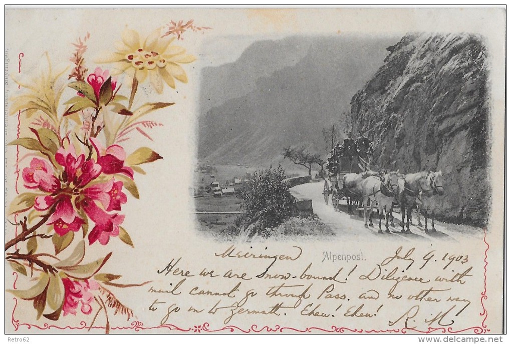 MEIRINGEN &#8594; Alpenpost Mit 5-Spänner Am Fusse Des Brünig 1903 - Meiringen