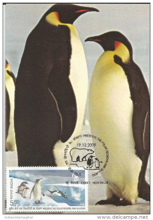 India 2009 , Penguins, Preserve The Polar Regions And Glaciers, Maximum Card - Preserve The Polar Regions And Glaciers