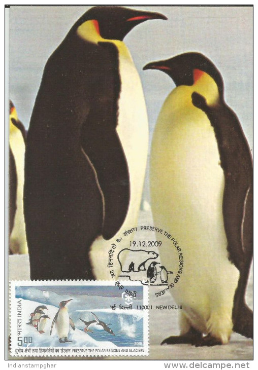 India 2009 , Penguins, Preserve The Polar Regions And Glaciers, Maximum Card - Preservare Le Regioni Polari E Ghiacciai