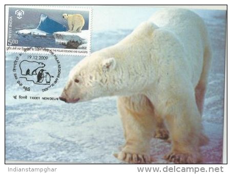 India 2009 ,Polar Bear, Preserve The Polar Regions And Glaciers, Maximum Card - Preservare Le Regioni Polari E Ghiacciai