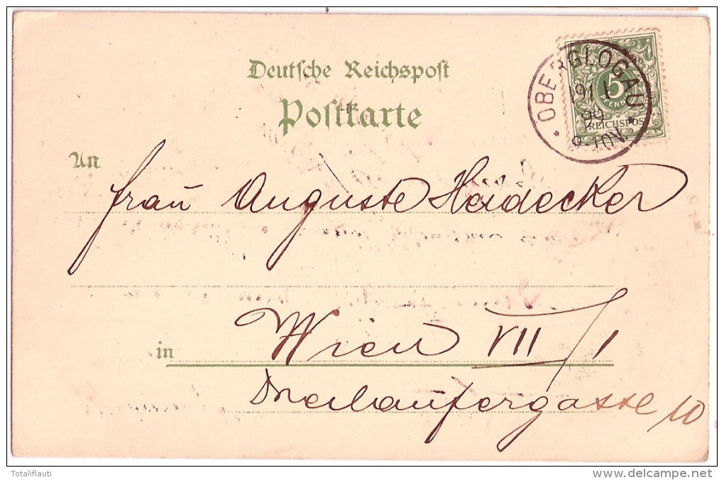 Gruss Aus Diersfordt Bei Wesel Color Litho Gasthaus Schloß Kirche Park 19.1.1899 Gelaufen - Wesel