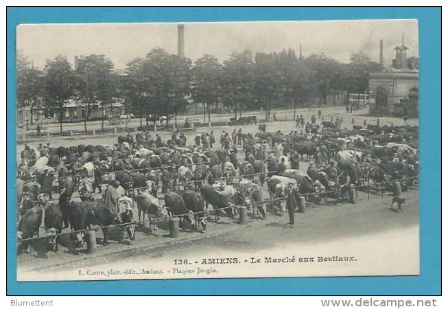 CPA 136 - Métier Maquignons Marché Aux Bestiaux Boeufs AMIENS 80 - Amiens