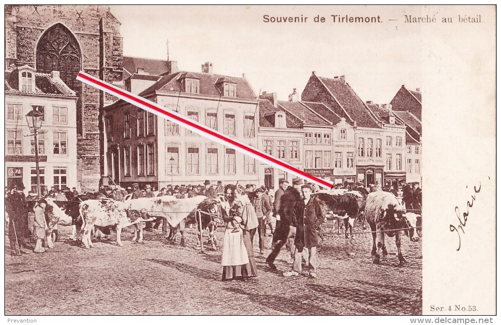 Souvenir De TIRLEMONT - Marché Au Bétail - Superbe Carte Très Animée - Tienen