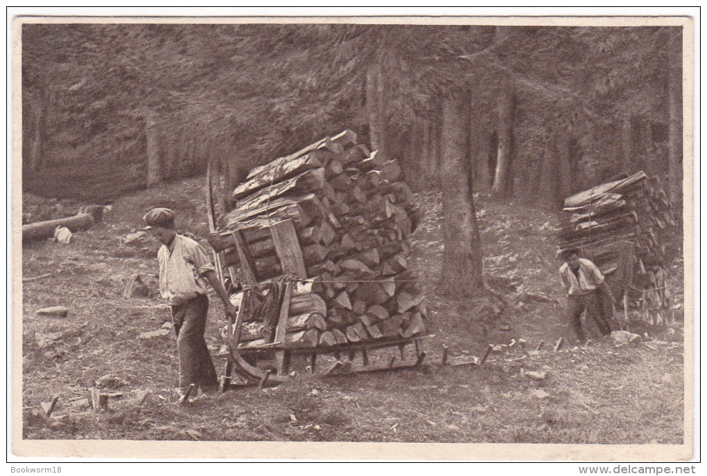 CP477 France 1923 Schlitteurs Dans Les Vosges Holzschlitter In Den Vogesen - Thaon Les Vosges