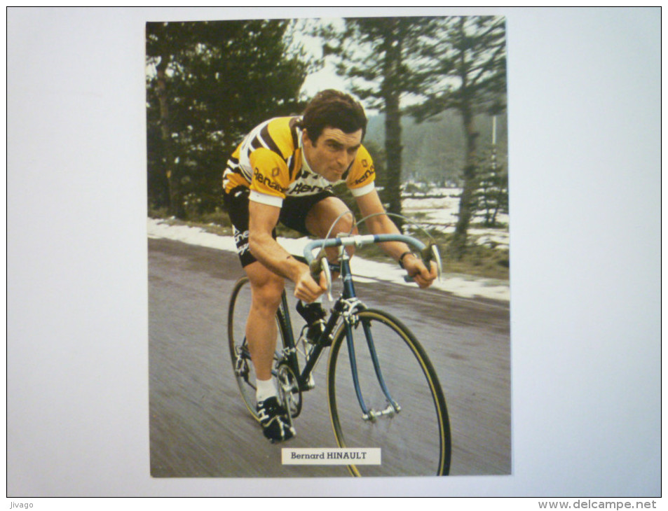 Carte  PUB  RENAULT  GITANE  CAMPAGNOLO  :  Bernard  HINAULT   - Cycling