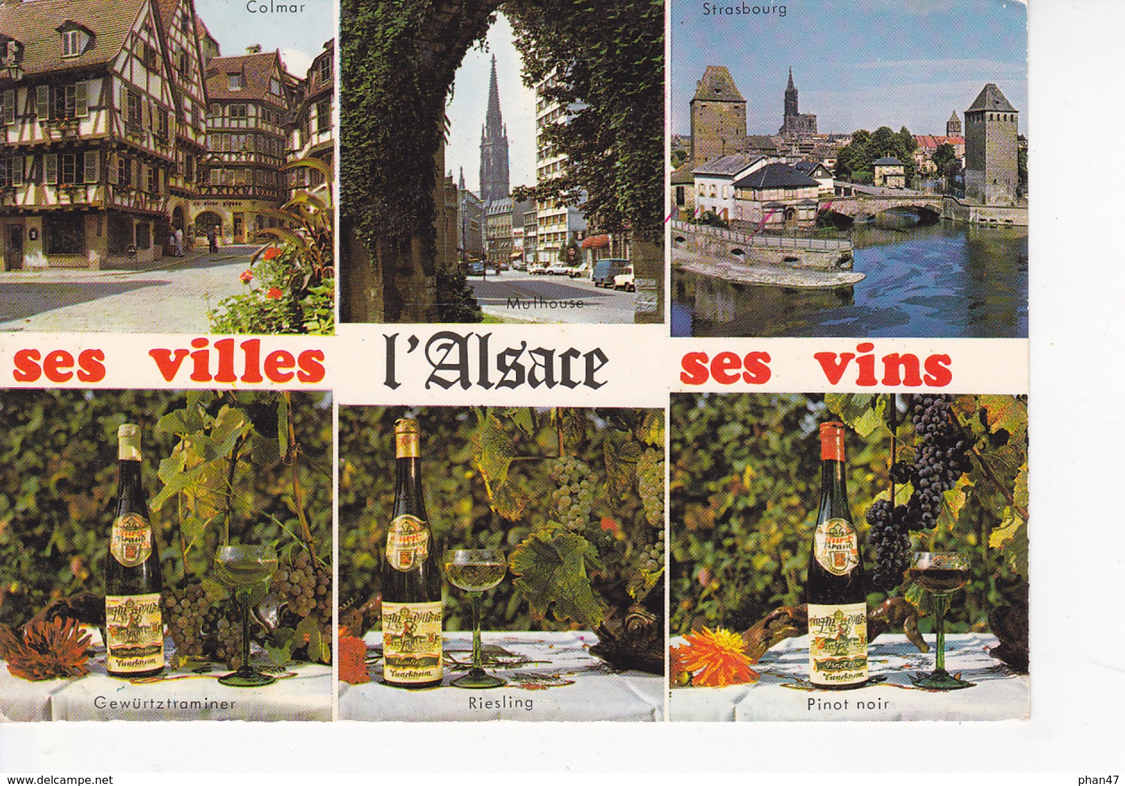 ALSACE FOLKLORE, Ses Villes, Ses Vins, Gewürtztraminer, Riesling, Pinot Noir,  Ed. Marasco 1970 Environ - Alsace