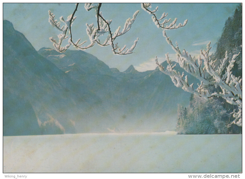 Königssee - Wintermorgen Am Königssee M Schönfeldspitze - Sonstige & Ohne Zuordnung