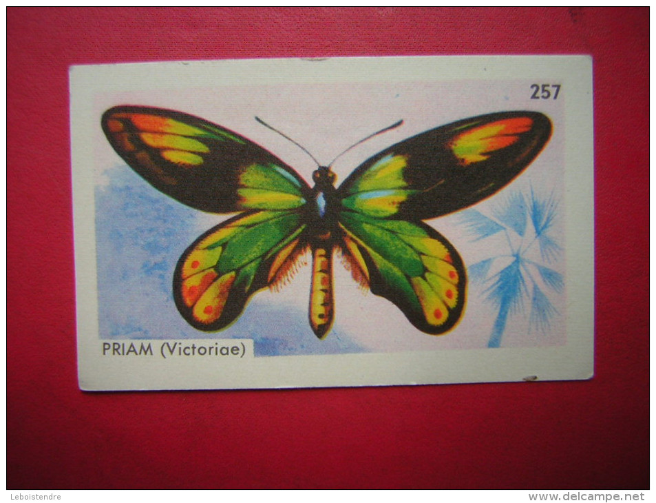 PETITE IMAGE ENTREMETS FRANCORUSSE  N° 257 DE L´ALBUM N° 2 PAPILLON  PRIAM Victoriae - Other & Unclassified