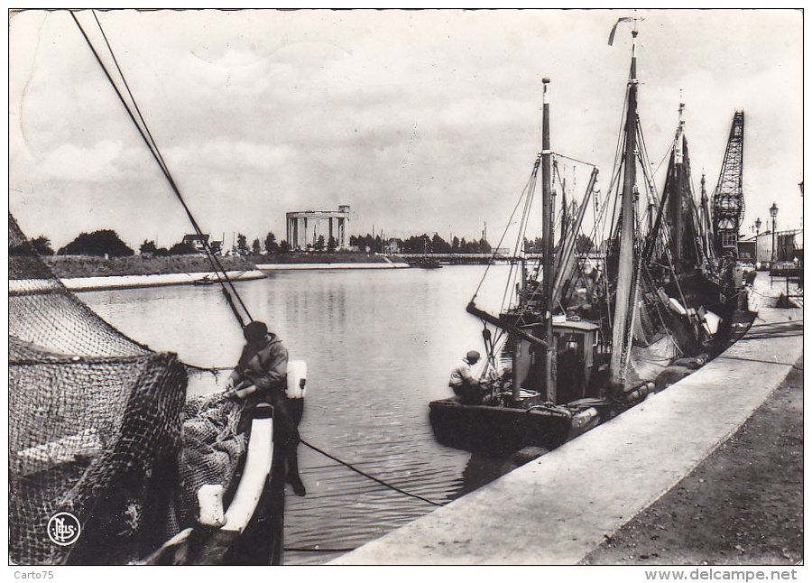 Belgique - Nieuwpoort - Nieuport - Port De Pêche - Pêcheurs - Nieuwpoort