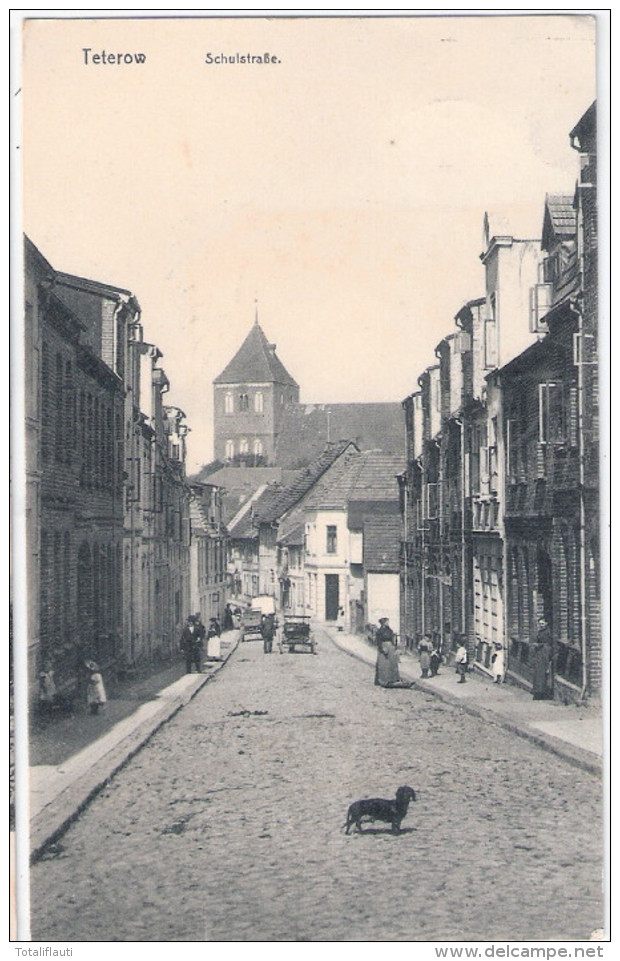 TETEROW Schulstraße Belebt Geschäfte Hand U Pferde Wagen Vorn Dackel Teckel Dachshund 20.6.1912 Gelaufen - Teterow