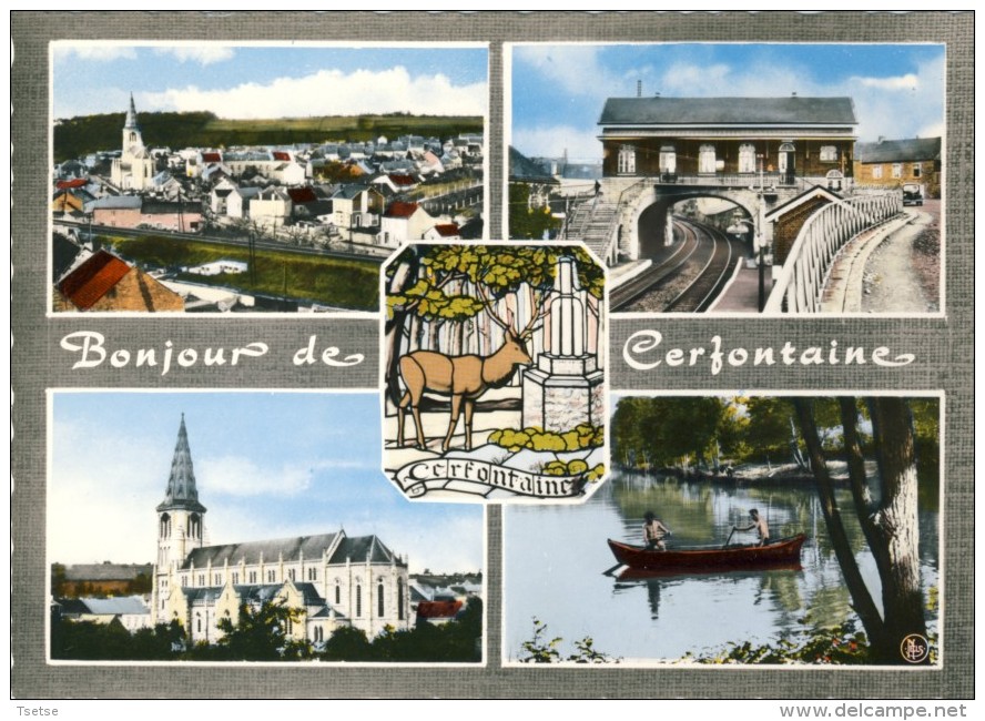 Cerfontaine - Bonjour De ... - Carte Multivues, Donc La Gare - Cerfontaine