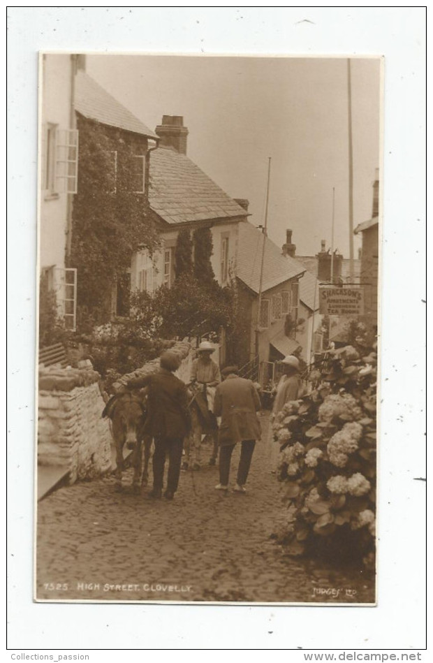 G-I-E , Cp, Angleterre , CLOVELLY  , ANIMAUX , ÂNE , High Street  , Ed : Judges' LTD , Vierge - Clovelly