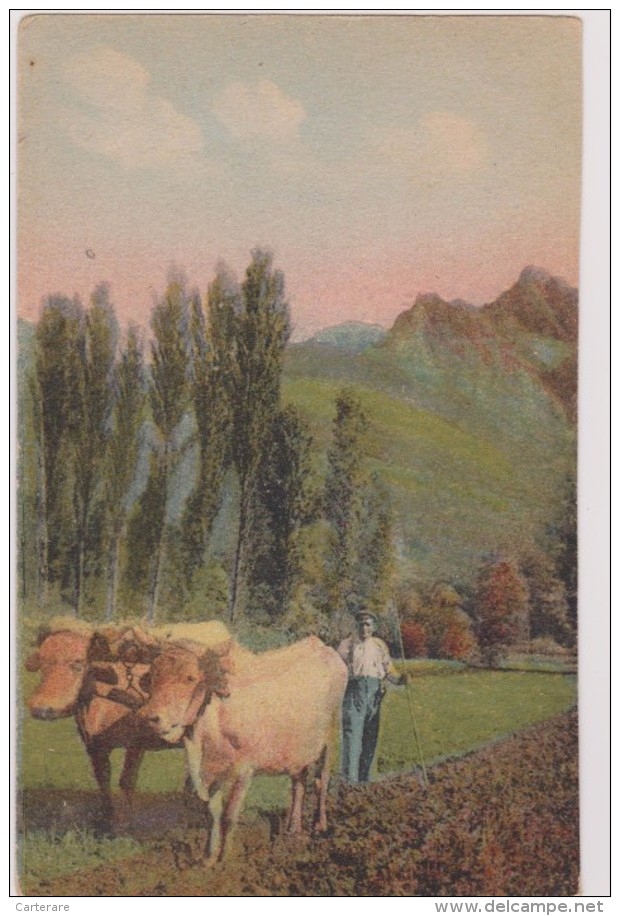 1912,un Laboureur Au Pays Basque,pyrénées,il Ya 100 Ans,labourage à L´ancienne,avec Boeufs,vache,édition Labouche - Paesani