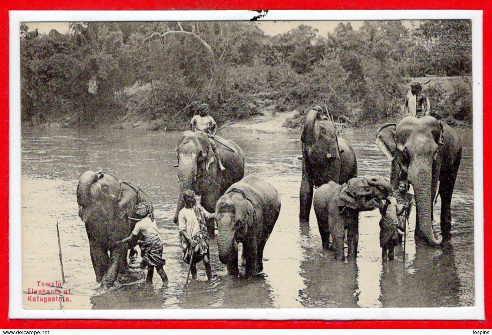 ASIE - CEYLON  - SRI LANKA - Temple Eléphants Et Katugastota - Yemen