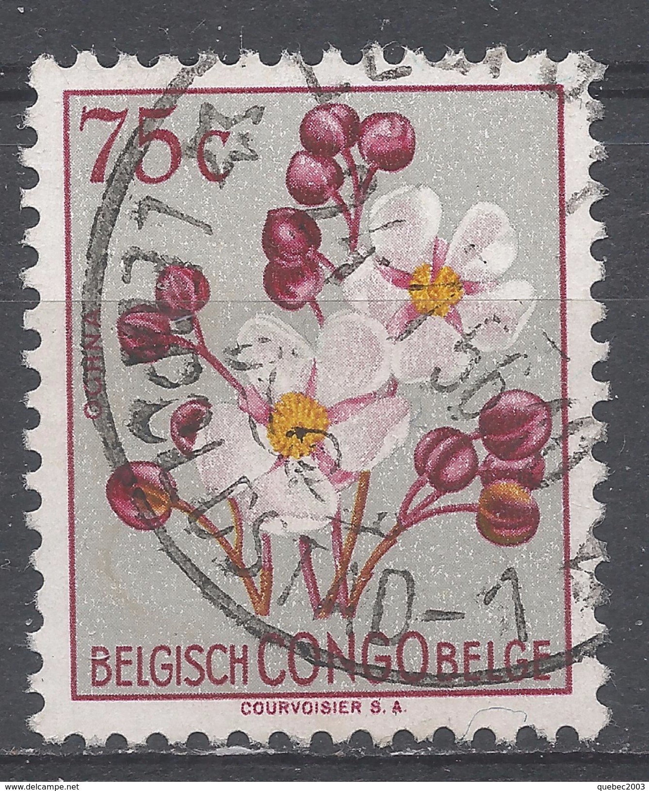 Belgian Congo 1952. Scott #270 (U) Flower's Ochna * - Oblitérés