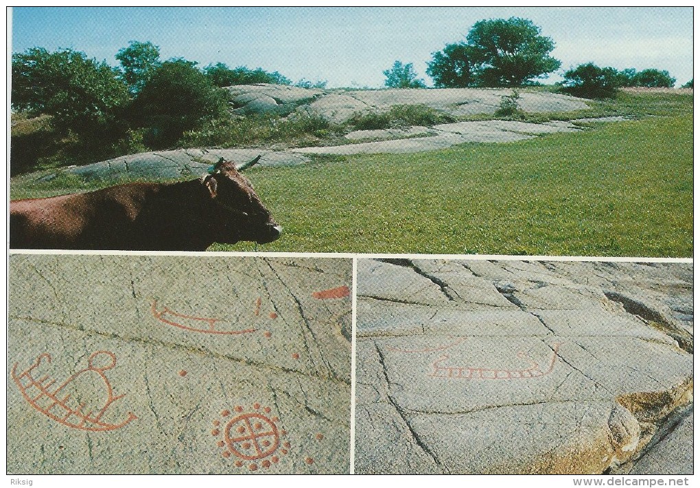 Felsenzeichnungsgebiet - Bronzeage. Bornholm Denmark.   B - 1268 - Dolmen & Menhirs