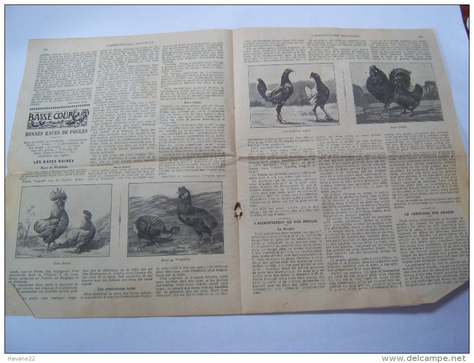 L'AGRICULTURE NOUVELLE 1917 "un Puissant Tracteur Pour La Culture Mécanique"  Journal  16 Pages Avec PUB - 1900 - 1949