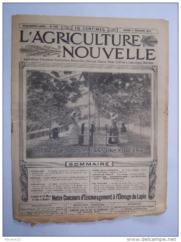 L'AGRICULTURE NOUVELLE 1917 "ciselage Des Raisins Dans Une Forcerie "  Journal  16 Pages Avec PUB - 1900 - 1949