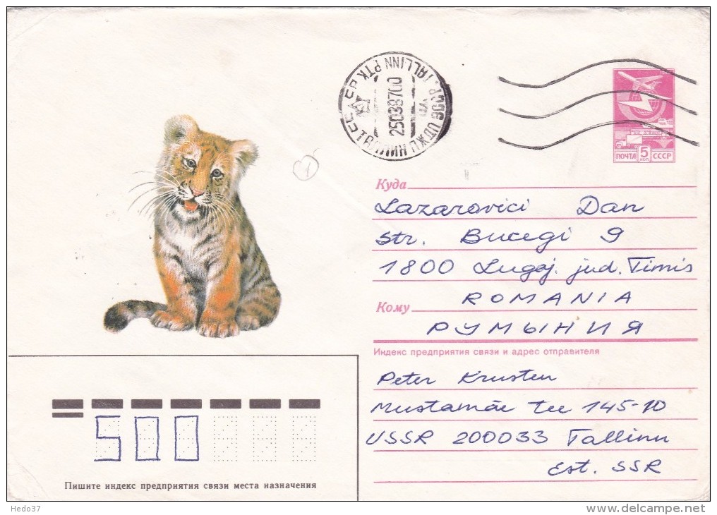 Tigre - Lettre - Raubkatzen