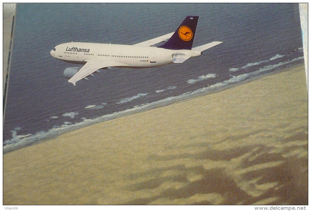 AIRLINES ISSUE / CARTE COMPAGNIE         LUFTHANSA   AIRBUS A 310 - 1946-....: Moderne